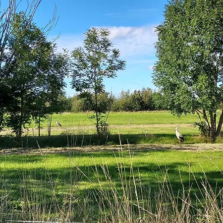 In A Cozy Village In Southern Jutland ヴィラ トゥナー